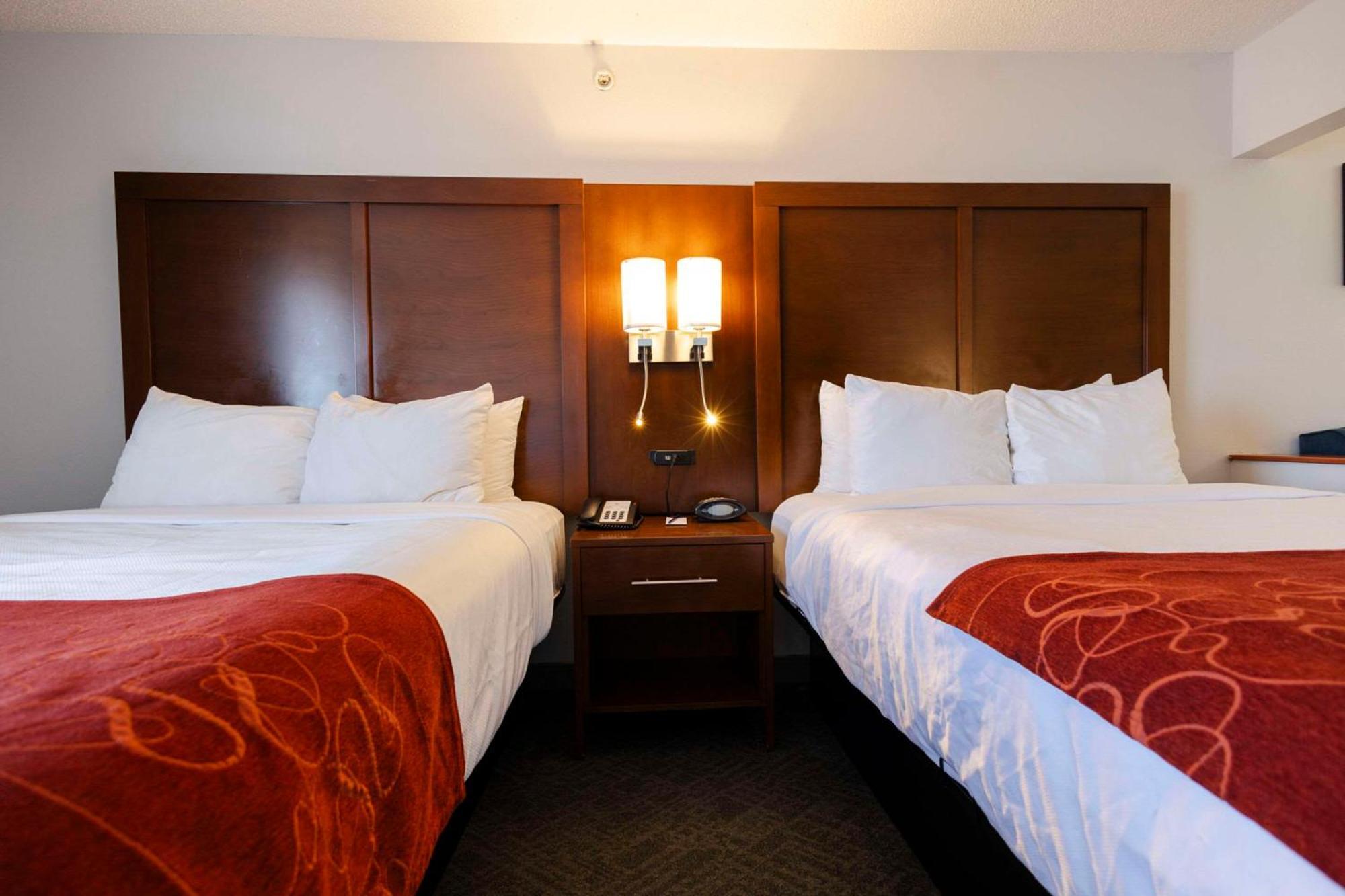 คอมฟอร์ต สวีท สปริงฟิลด์ Hotel ภายนอก รูปภาพ